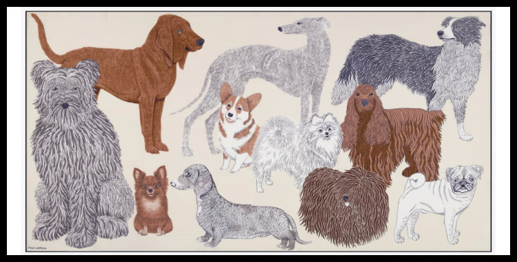 étole , paréo inoui éditions représente des chiens, en blanc.