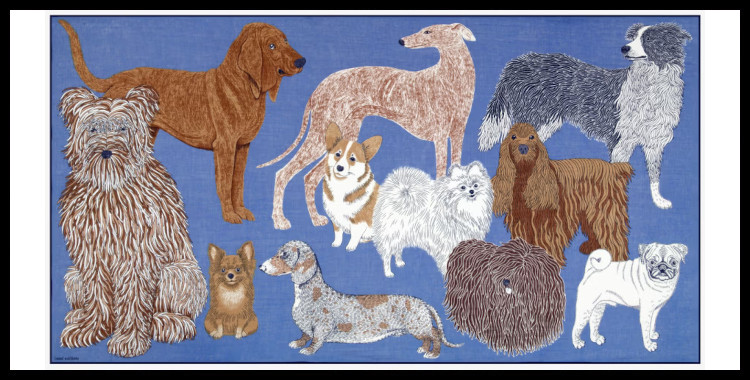 étole , paréo inoui éditions représente des chiens, en bleu.