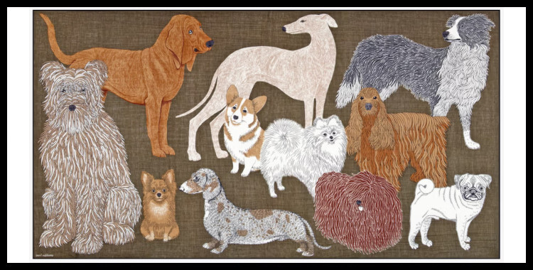 étole , paréo inoui éditions représente des chiens, en gris.