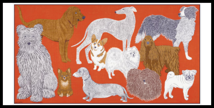 étole , paréo inoui éditions représente des chiens, en orange.