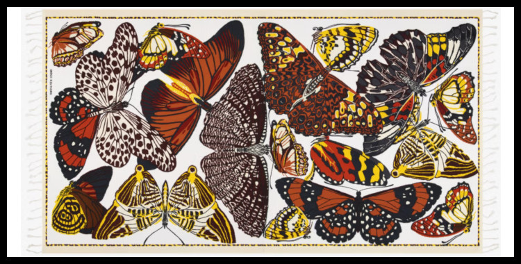 Foutas, inoui éditions représente les papillons, en rose nude.